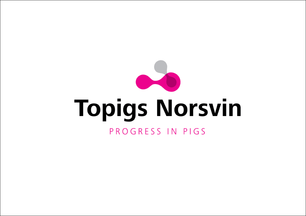 Topigs Norsvin – dziś i jutro!