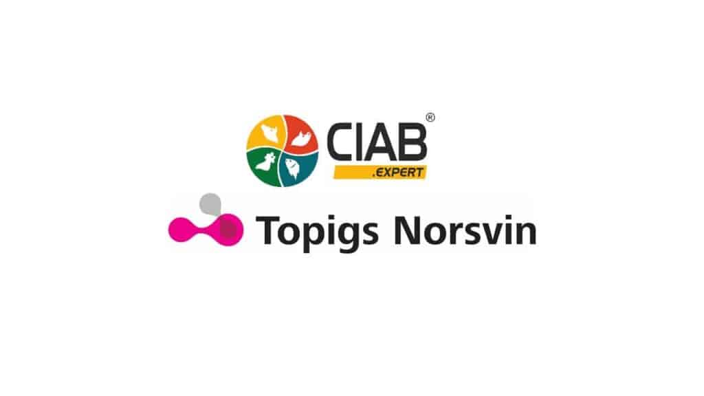 CIAB – dystrybutor genetyki Topigs Norsvin na Ukrainie